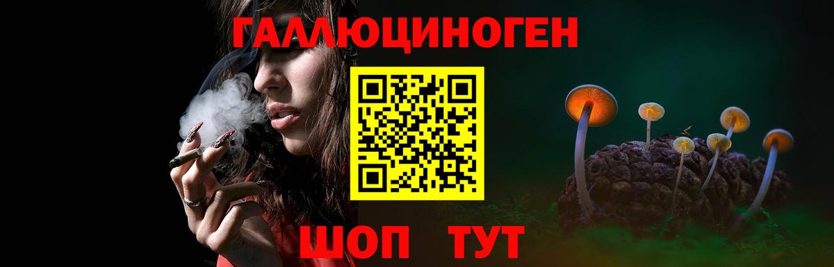 Псилоцибиновые грибы мицелий Королёв